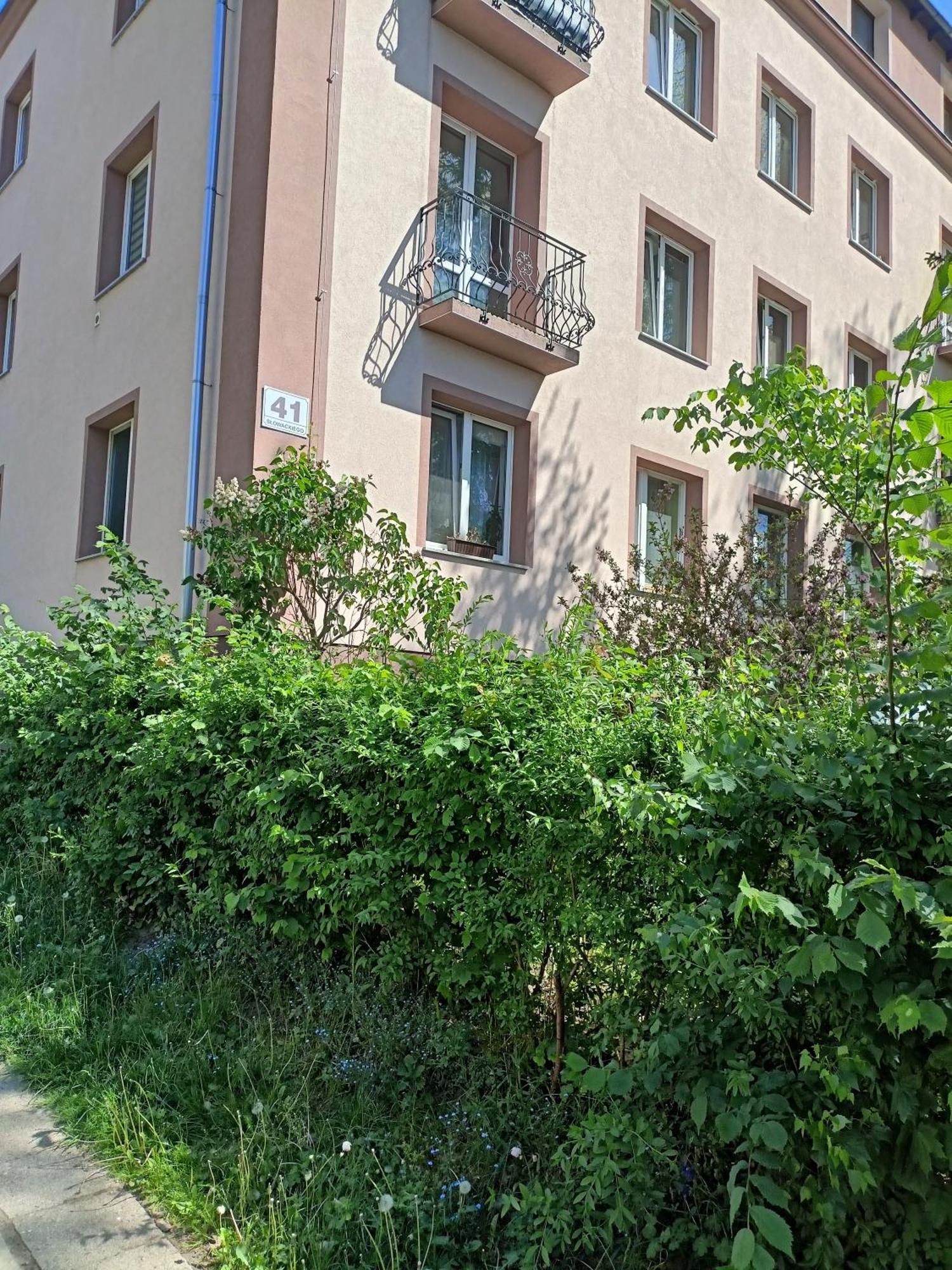 Apartament Slowackiego 41 Jelenia Gora Exterior photo